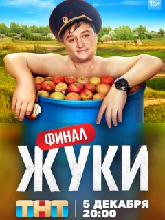 Жуки